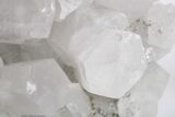 Columnar Calcite w/ Sparkling Chalcopyrite & Pyrite - Fluorescent! #360643-1